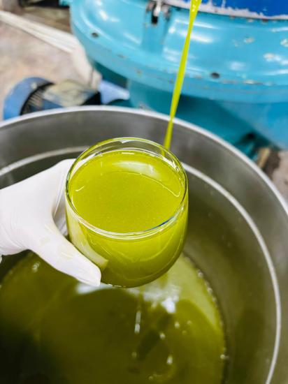 Zeytinyağı Erken Hasat Soğuksıkım Filtre Edilmemiş 5Lt. (EKİM 2024)